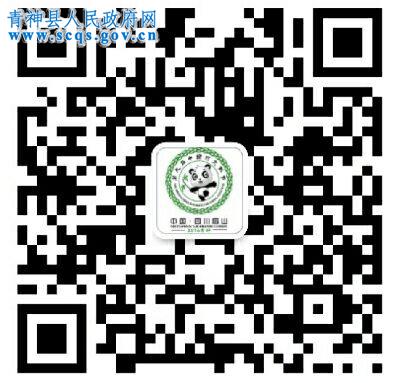 扫描二维码 即可关注第九届中国竹文化节微信公众号