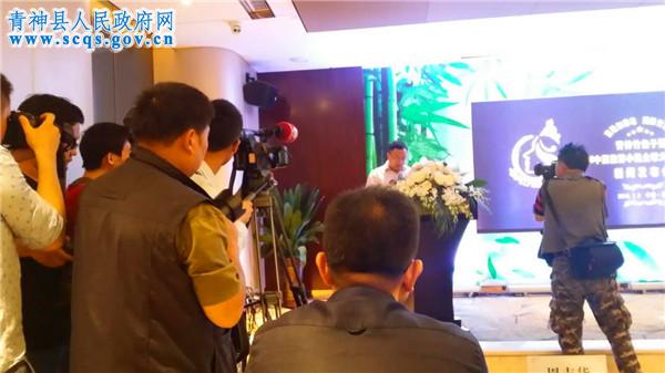 新闻发布会现场3